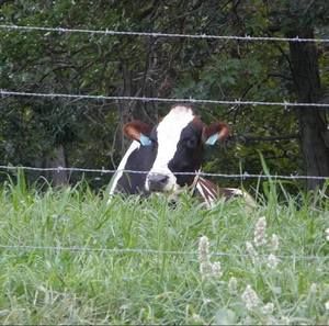 Meet your Posher, Donna bergert